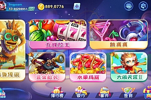 网狐指尖电玩城 娱乐城棋牌 完整运营版