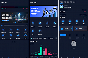 13国语言综合交易所源码/美股/印度股/港股/德股源码