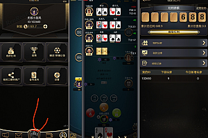 网狐单款扯旋时时娱乐棋牌源码带双端+H5/带地九王